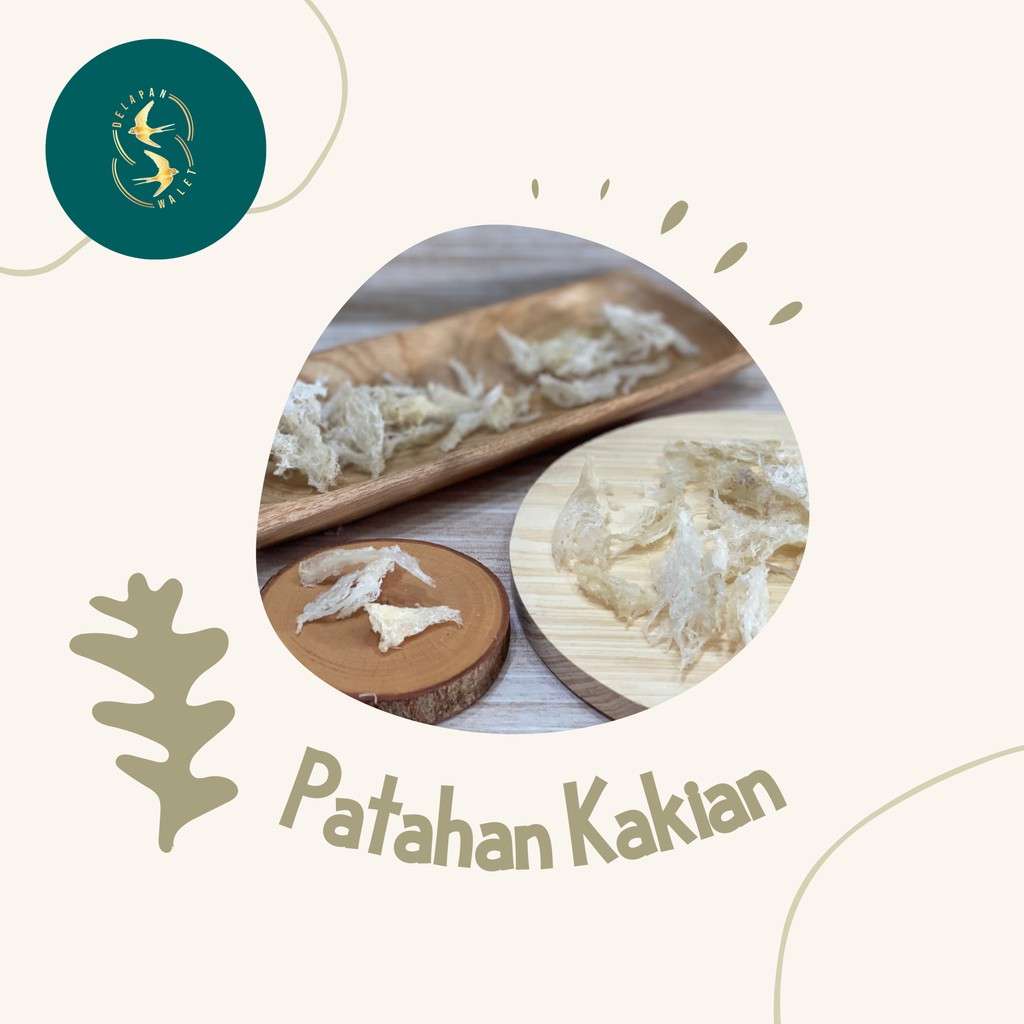 

HARGA PROMO Sarang burung Patahan Kaki 5gr