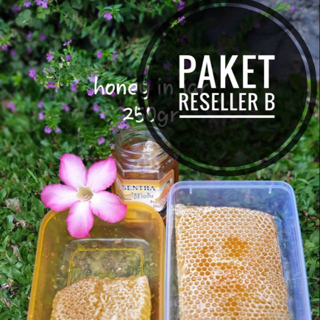 

PAKET RESELLER B SENTRA MADU