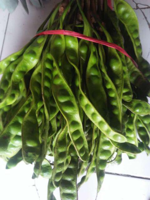 Alat Pembuka / Vacum Section Kop Universal Pembuka Lcd Iphone / Hp / Ponsel