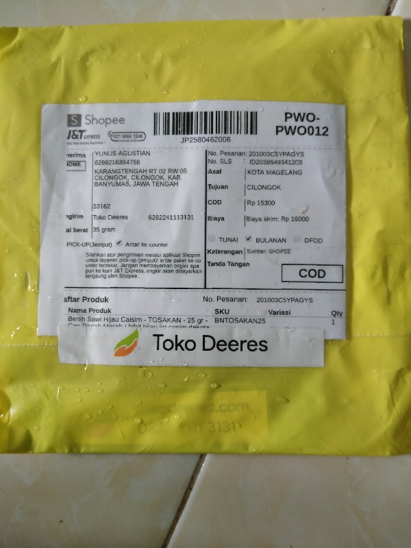 Benih Sawi Hijau Caisim - Tosakan - 25 Gr - Cap Panah Merah / Bibit Hijau Ijo Cesim Dakota Shinta