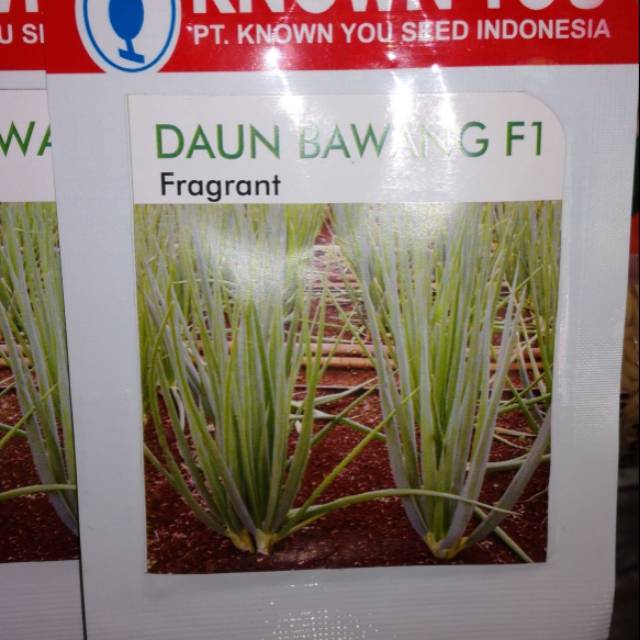 Daun bawang F1 fragrant