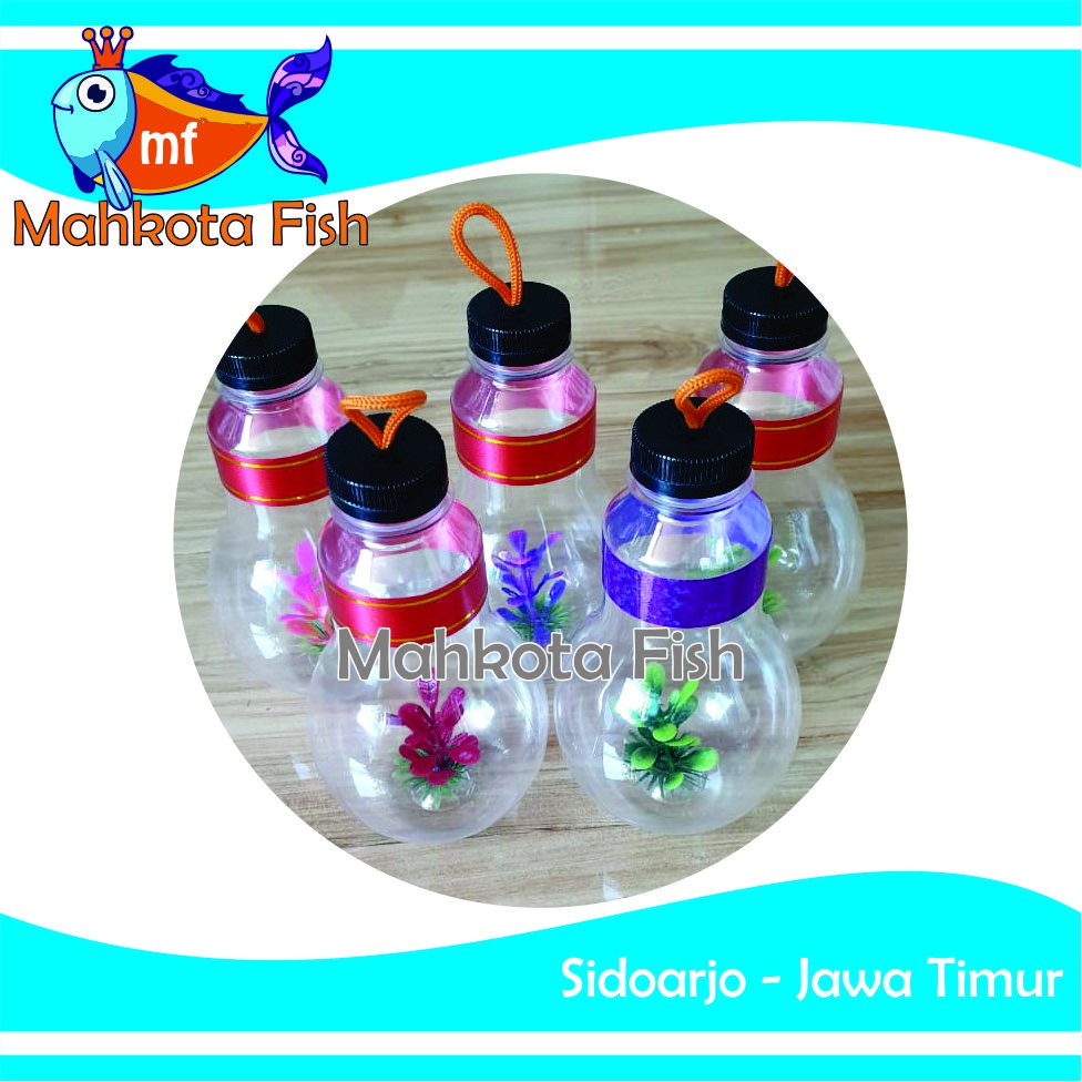 Botol Ikan Hias | Botol Cupang | Botol Mini