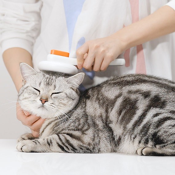 PETKIT Large Grooming Brush Sisir Bulu Perawatan Hewan Peliharaan