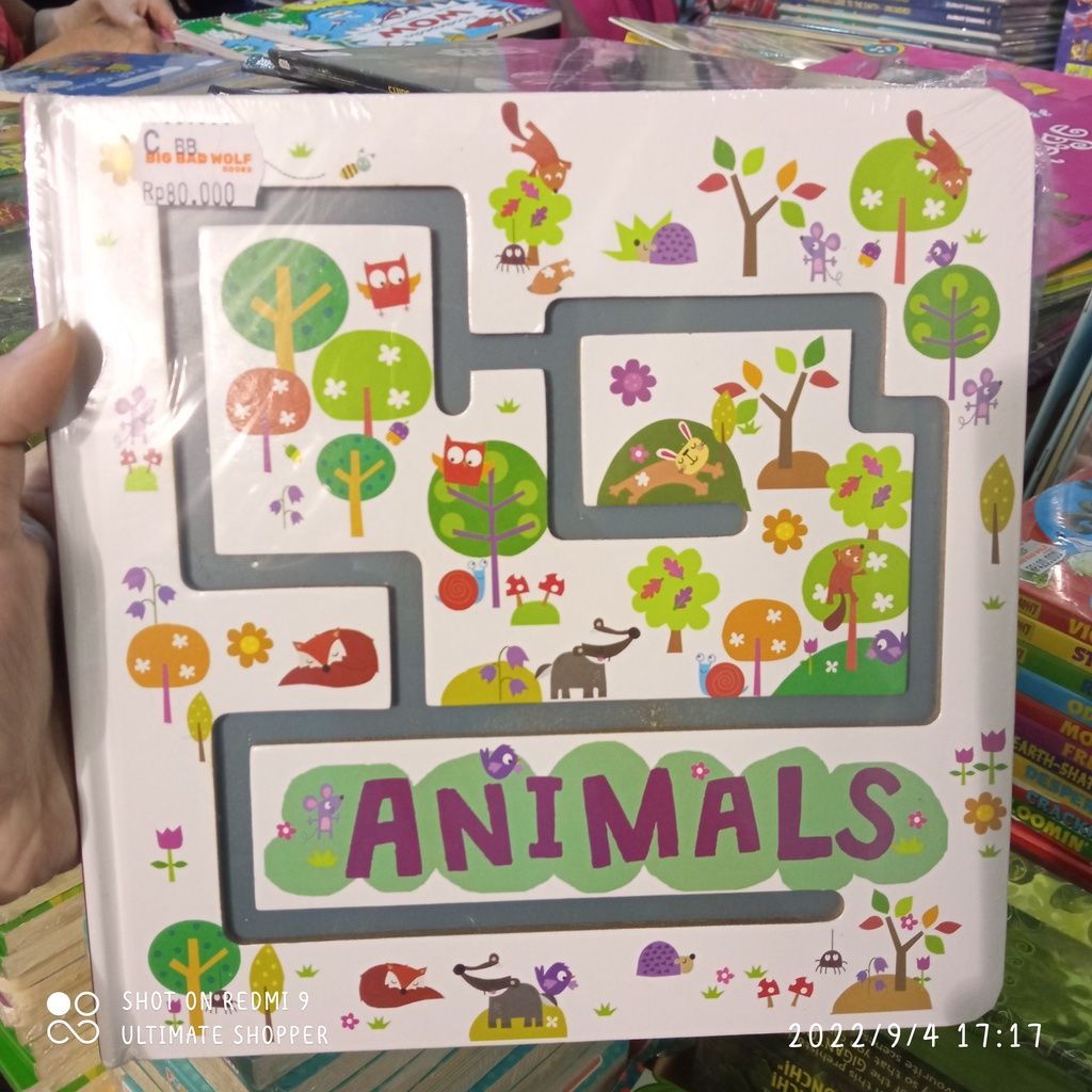 TRACE & FLAP BOOK - ANIMALS North Parade Publishing BOARD BBW BIG BAD WOLF BOOK SALE VIRAL BEST SELL