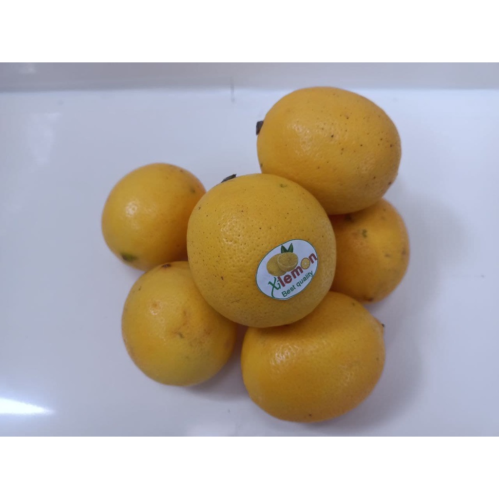 

Buah Lemon Segar 1 Kg Grade B