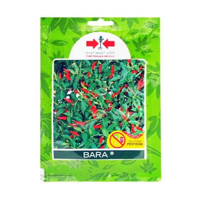 benih cabe rawit bara