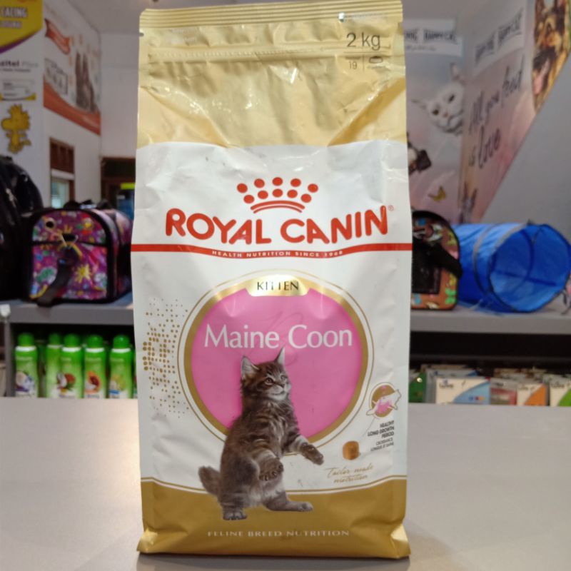 Royal Canin Kitten Maine Coon 2kg / catfood mainecoon kitten