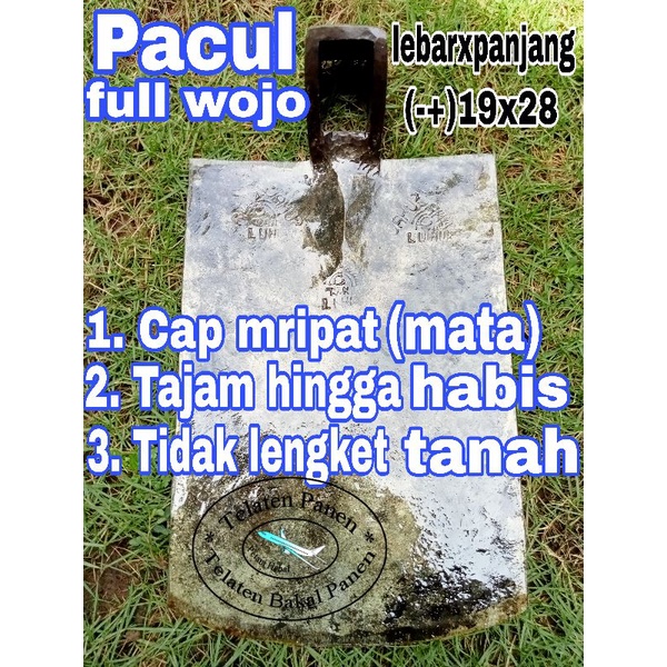 PACUL BLITAR WOJO ISEN TEMBUS CAP MRIPAT | Cangkul full baja tanpa sambungan