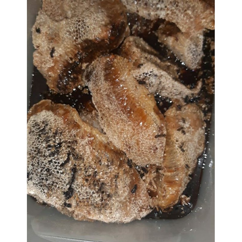 

sarang madu hutan apis dorsata 250 gram