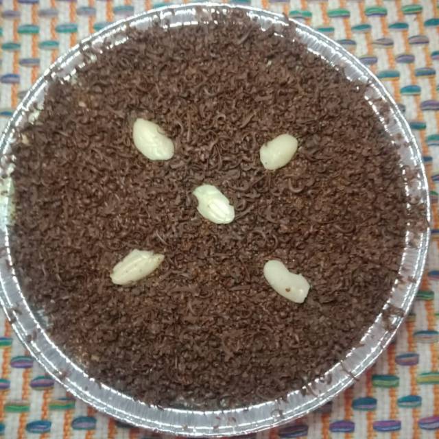

Klapertart large choco top (chocolate)