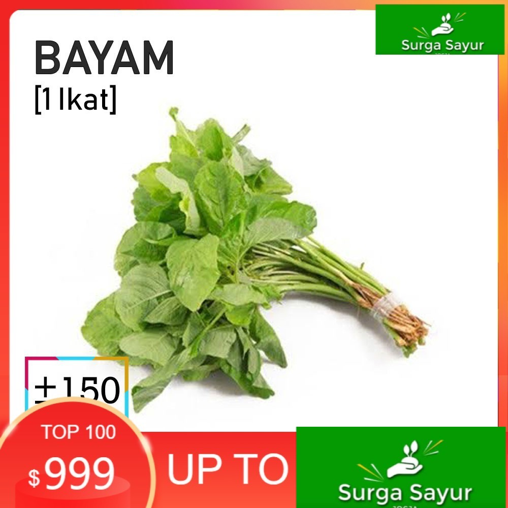 

SURGA SAYUR DAUN BAYAM HIJAU SAYUR [1 Ikat, ±150g] SEJABODETABEK BISA KIRIM INSTANT DGN GOSEND/ GRAB