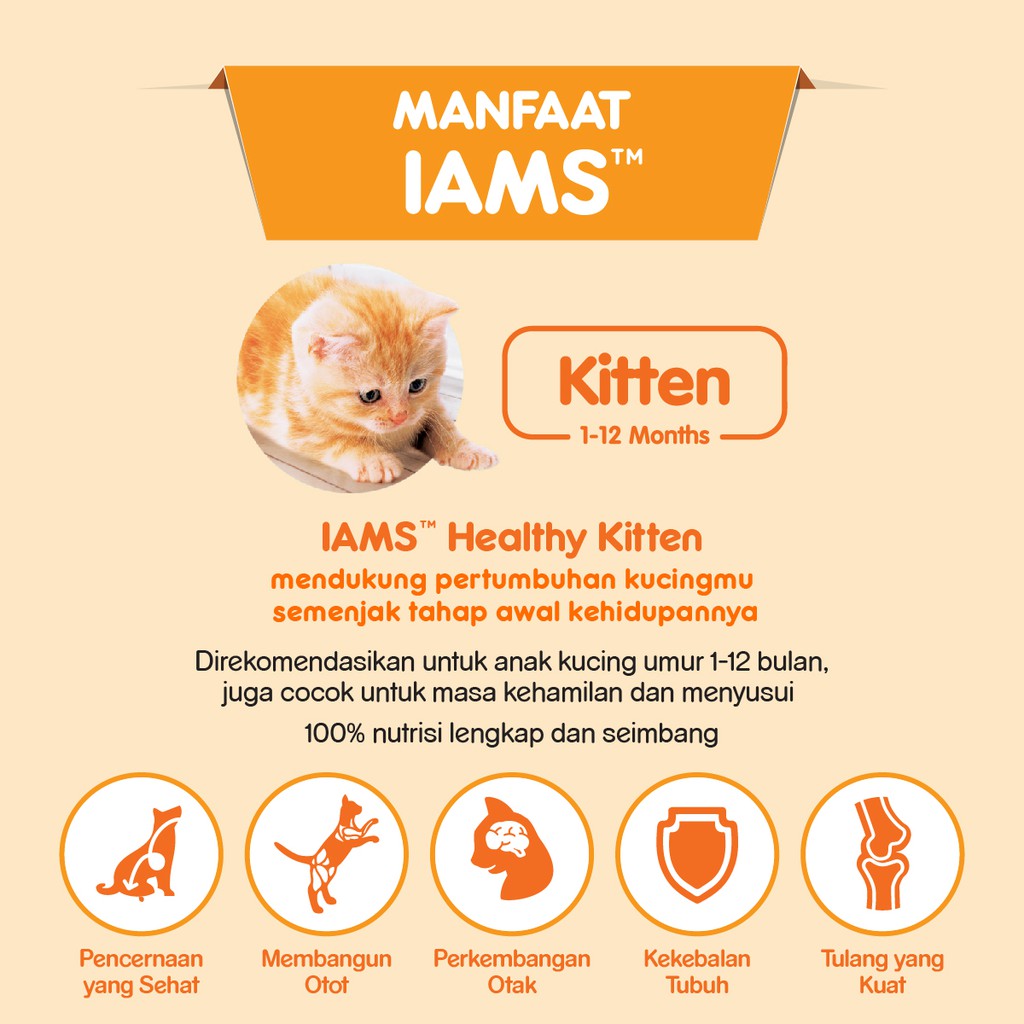 IAMS Makanan Anak Kucing Rasa Chicken 1 Kg-2