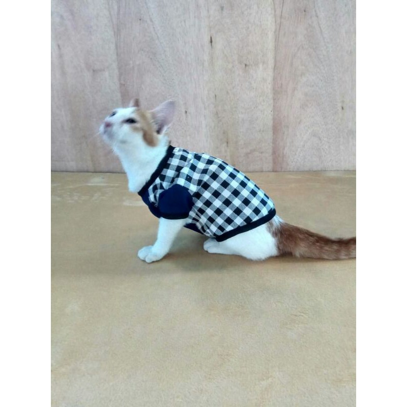 Baju kucing cowo