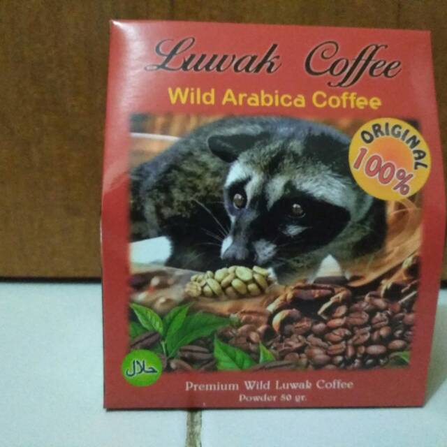 

Luwak coffee Wild arabica coffee