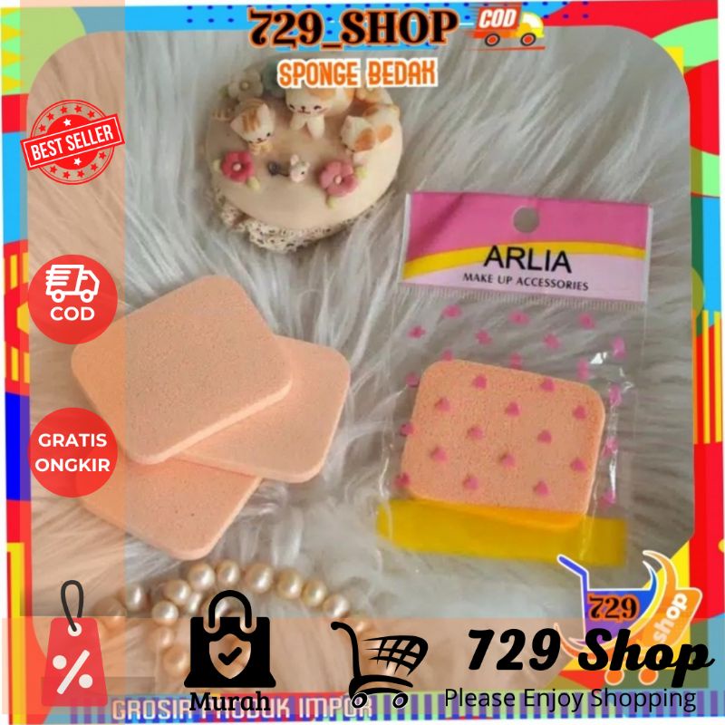 Spon Bedak Basah Erlia Import / Sponge Make Up Best Seller