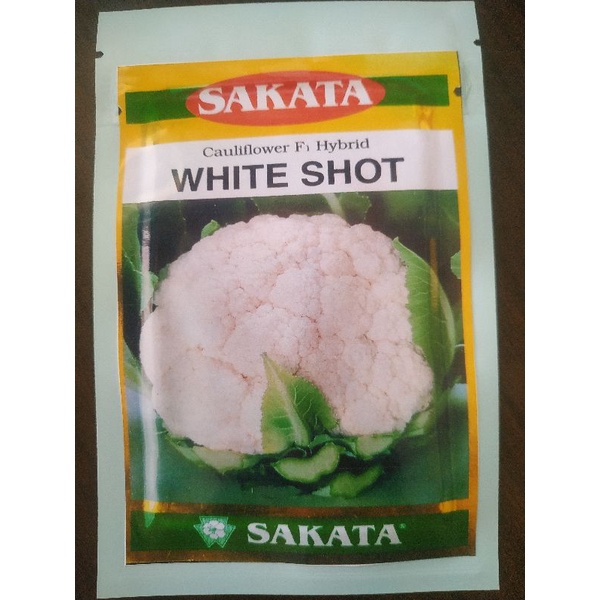 Benih Bunga Kol sakata White shot 250btr