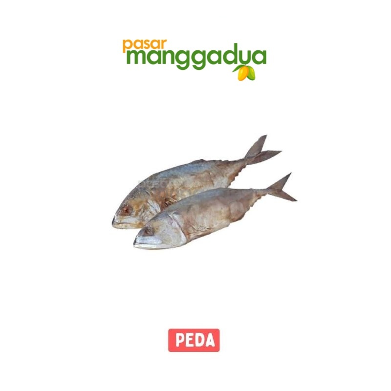 

FRESH !!! Ikan Asin Peda 250 Gram / Ikan Segar