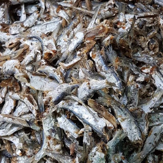 

Ikan sampah Daging khas Medan 1kg/1000 gram