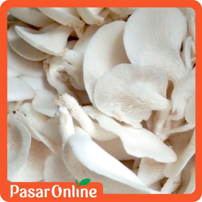 

Jamur Tiram / Jamur Segar