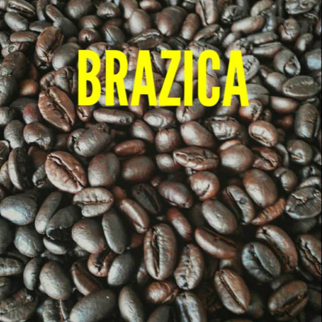 

Kopi Brazica All Varian 250 Gram ( Robusta / Arabika ) / ( Biji / Bubuk )