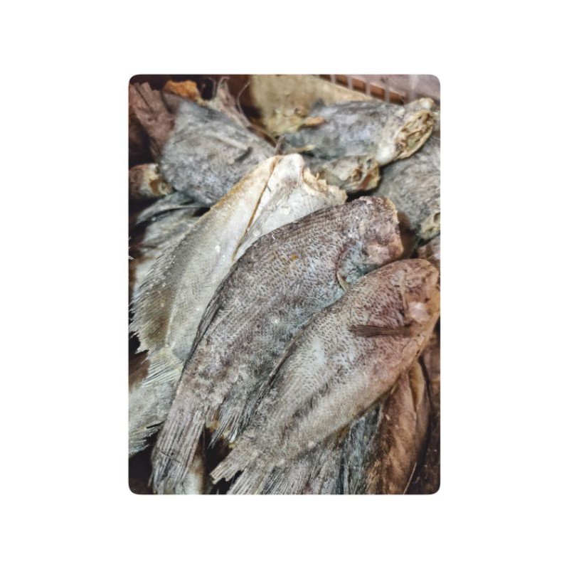 

Ikan Asin Sepat Besar 100gr