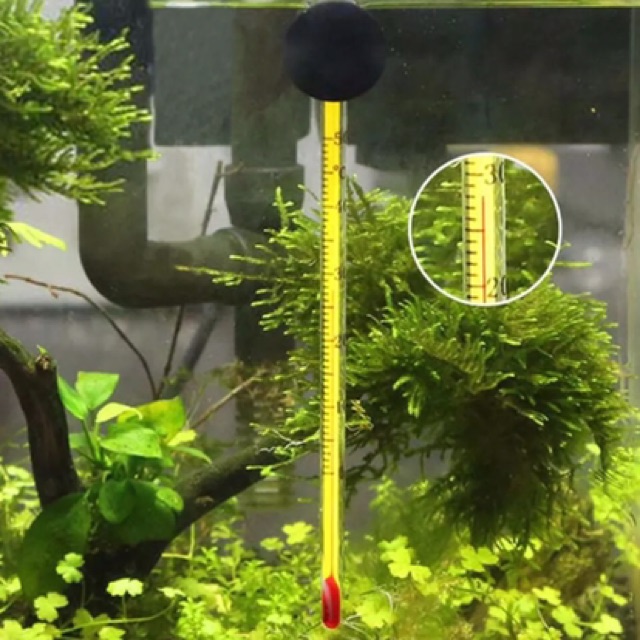 Thermometer Aquarium 0 - 50 c