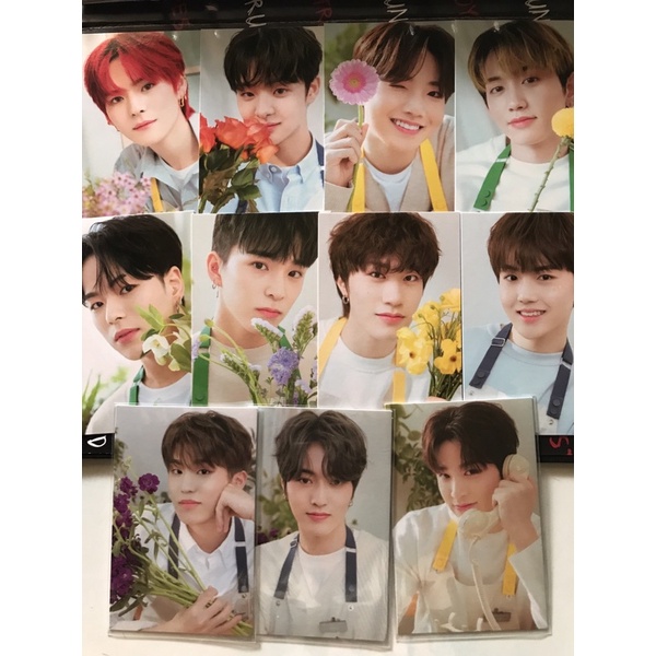 Ready blooming Treasure pc binder