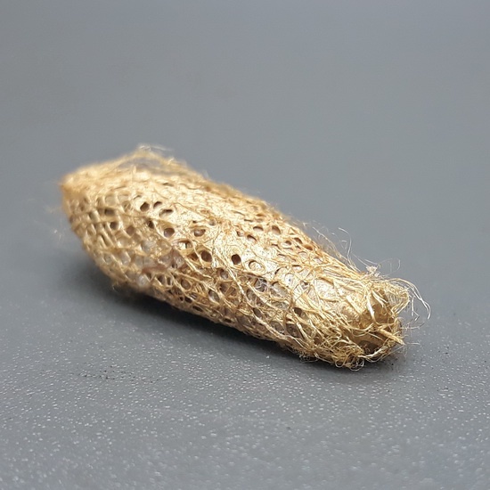 Harga Wesi Kuning Kepompong Asli Terbaru November 2021 Biggo Indonesia