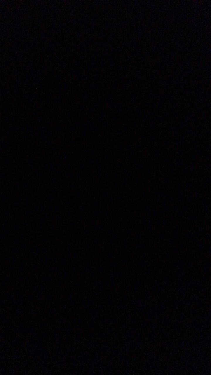 Wisk Balon Gagang Stainles