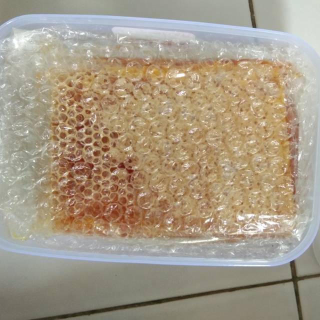 

Madu sarang apis melifera / honey comb
