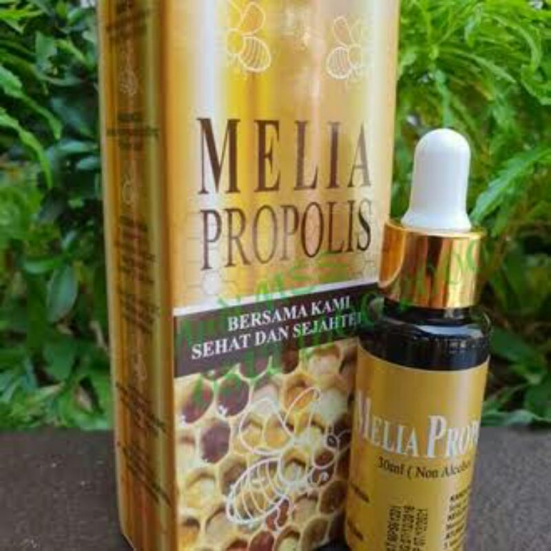 Propolis melia sehat sejahtera 30Ml / Melia Propolis 30Ml / Melia Sehat Sejahtera