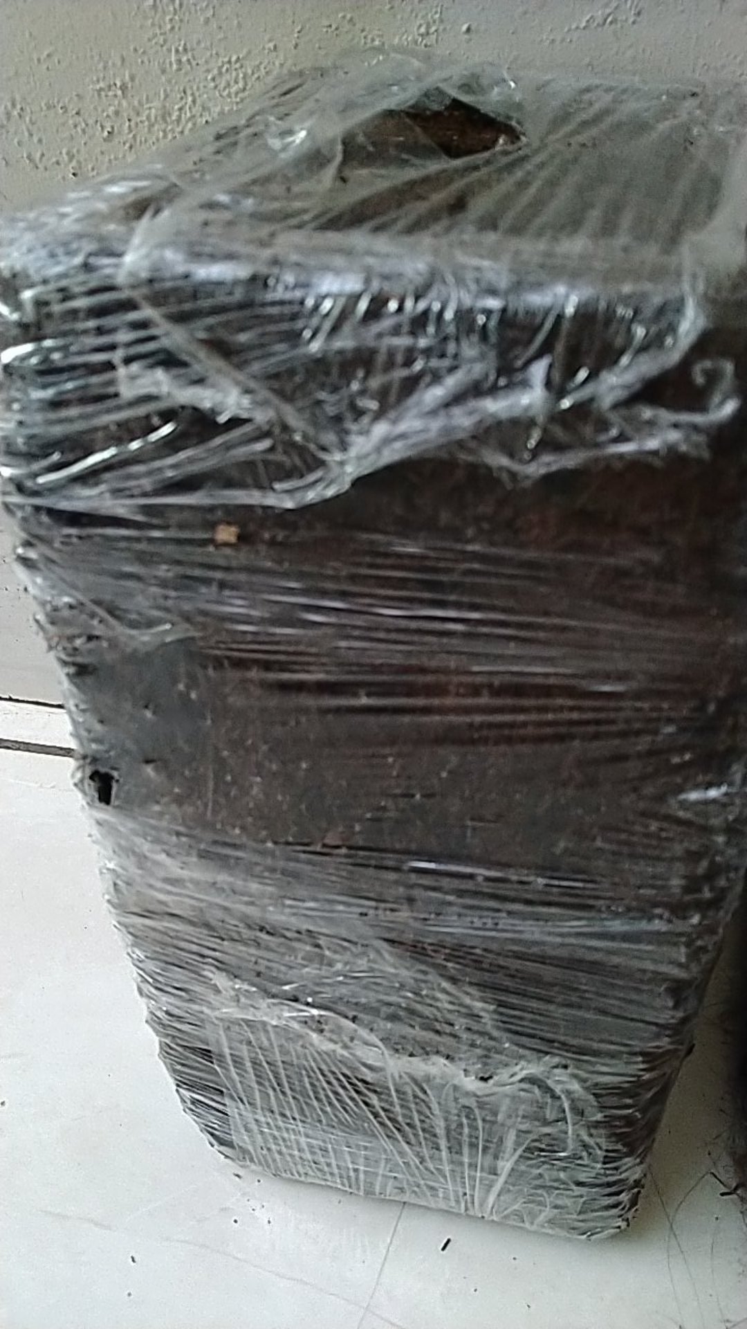 Akar Pakis Media Tanam Akar Pakis Media Tanam Anggrek Pakis Tempel Media Tanam