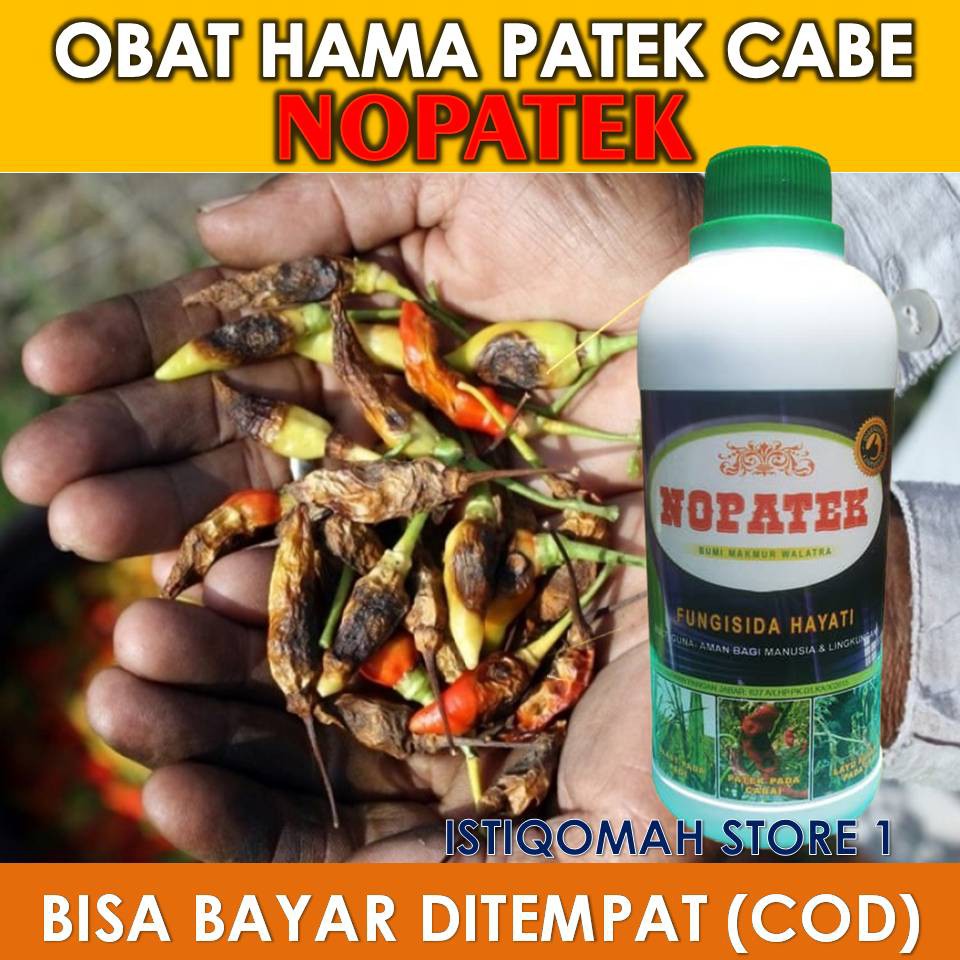 Premium (Mount) OBAT HAMA PATEK CABE ALAMI > OBAT PATEK CABE AMPUH > OBAT PATEK CABE ORGANIK -