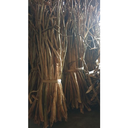 Enceng gondok kering ( bahan kerajinan )