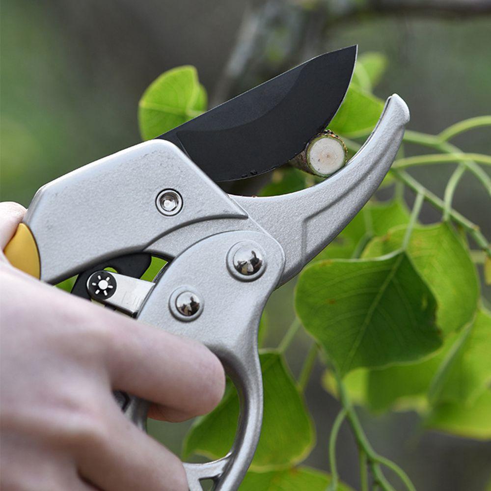 Solighter Gunting Taman Pemotong Dahan Universal Tahan Lama Alat Potong Kit Secateurs Hand Tools Grafting Pruner