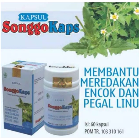 Obat herbal khasiat ampuh mengobati encok pegal linu nyeri sendi asam urat rematik kapsul songgokaps ASLI 100% HERBAL