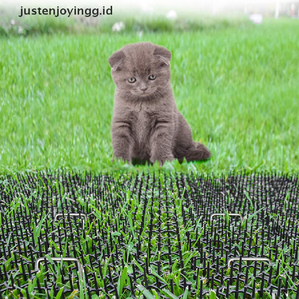 Paku Penggalian Kucing Portabel Untuk Taman