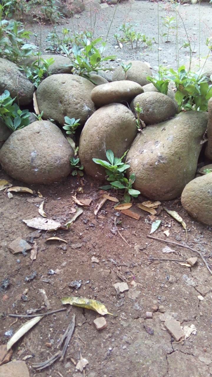 Kemeja Batik Pria Slimfit Ekslusive Lengan Panjang Pakaian Muslim