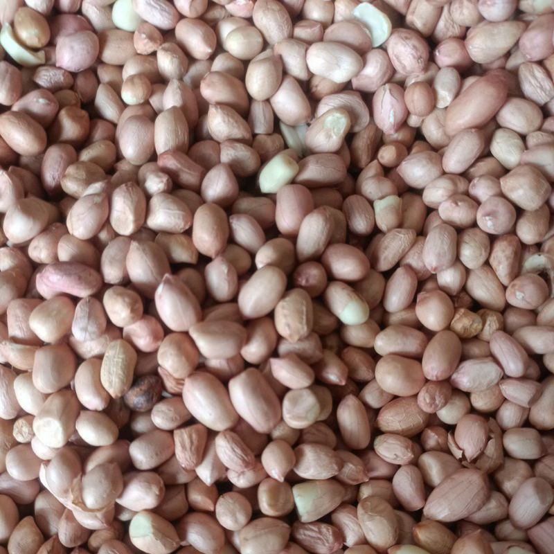 

kaca tanah 1 kg