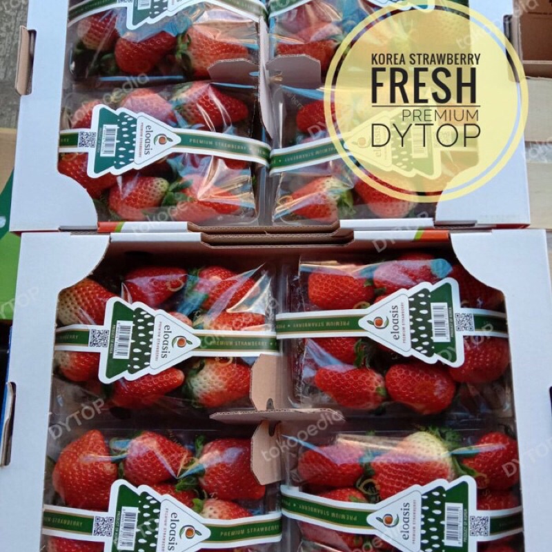 

Buah Strawberry Korea Premium Import Fresh Jumbo Segar - Per Kotak