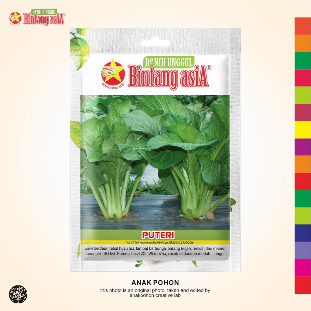 (1 PACK) Benih Sawi Hijau Manis PUTERI Seeds - BINTANG ASIA - 2 GRAM