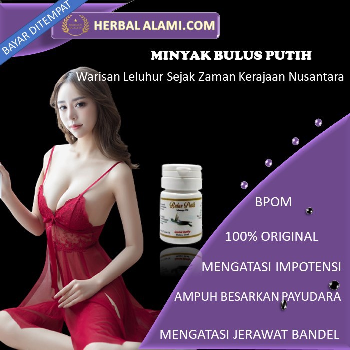 PEMBESAR PAYUDARA AMPUH PERMANEN PENGENCANG PAYUDARA YG KENDUR BPOM MINYAK BULUS PEMBESAR PAYUDARA 9