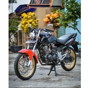 stang rzr dan raiser tiger