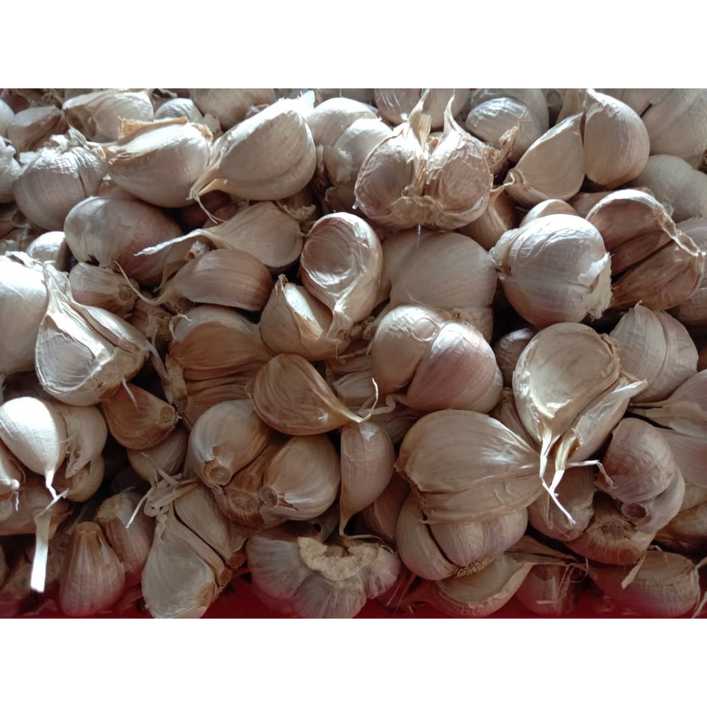 

Bawang Putih 1 KG