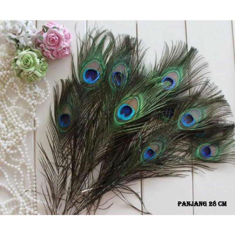 5 Helai Aplikasi Bulu 25-30cm - Bulu merak sintetis - bulu ayam - Bulu topi