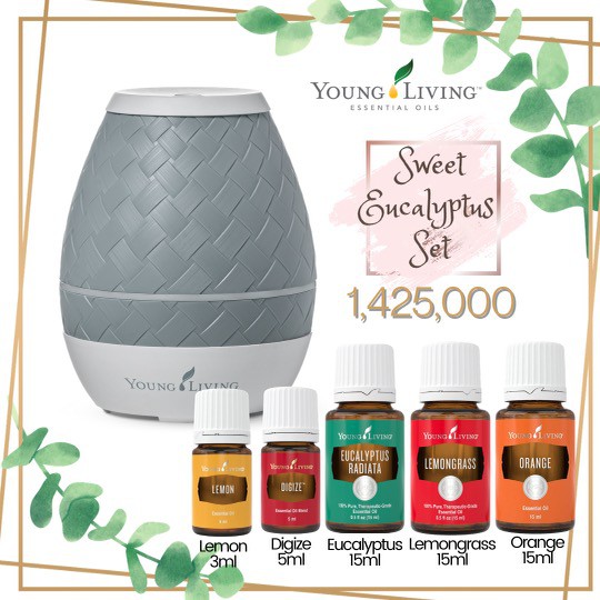 YL essential oil sweet aroma diffuser eucalyptus set 5 oil