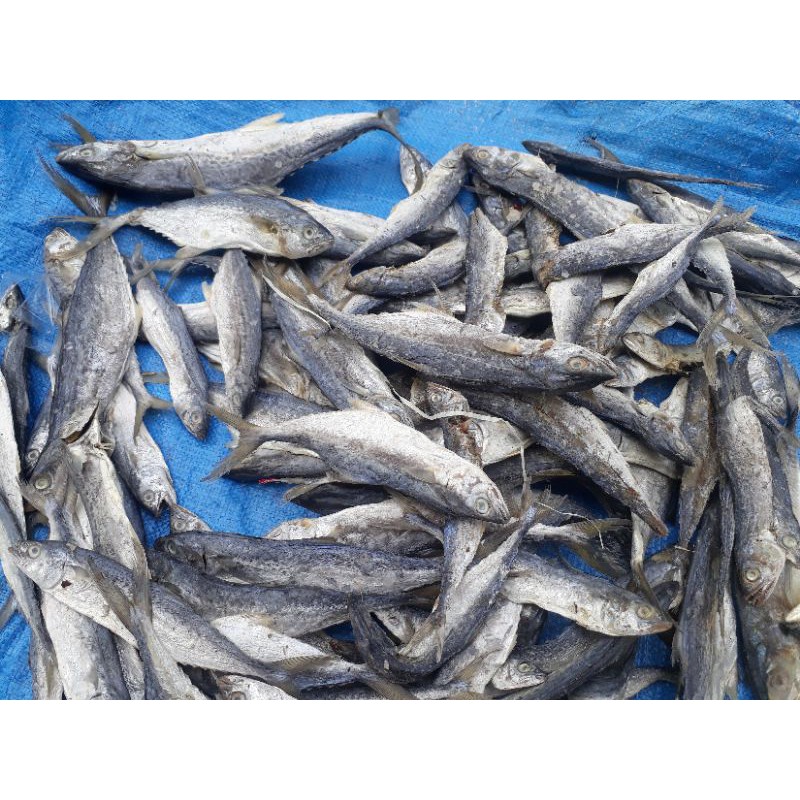 

Ikan Asin Tengiri/250 gram