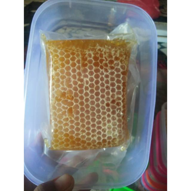 

madu sarang 100% asli