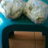 

kembang turi / bungkus/kg