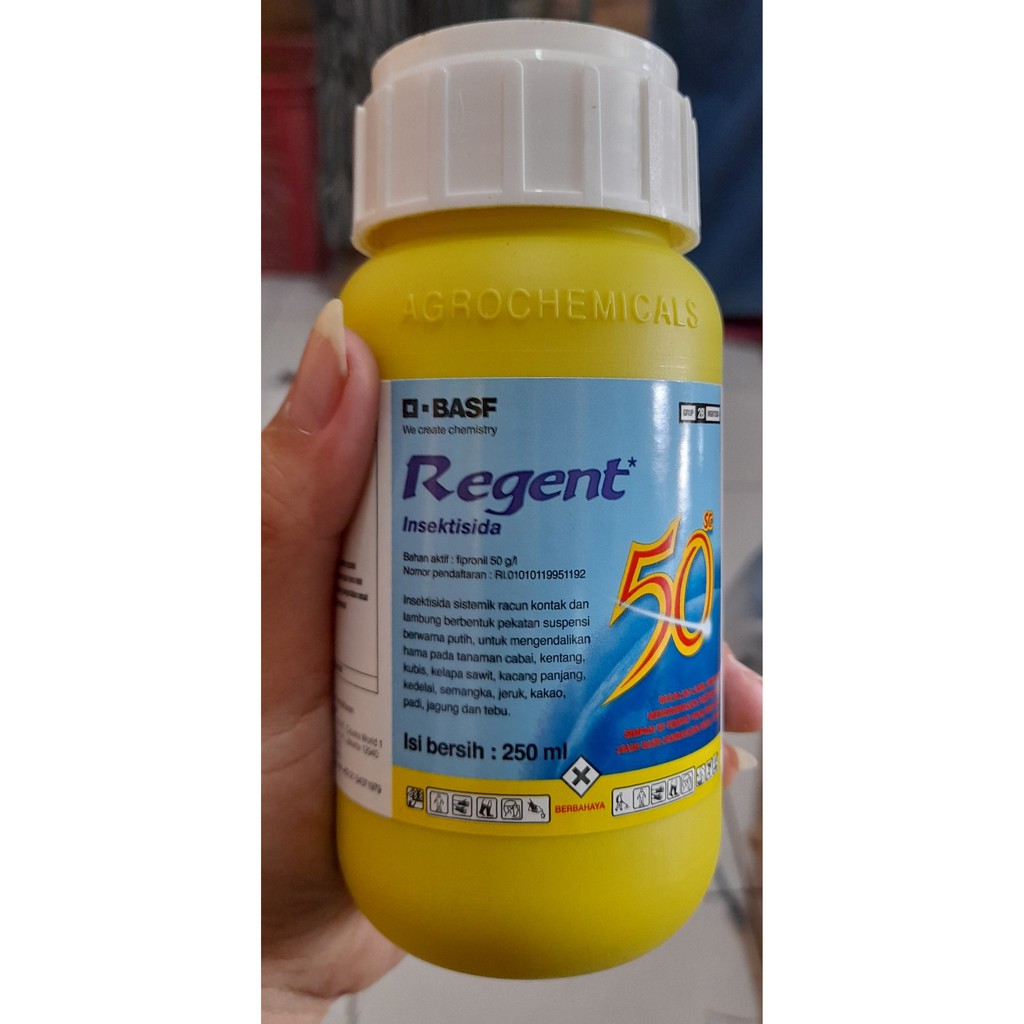 Regent cair 250ml